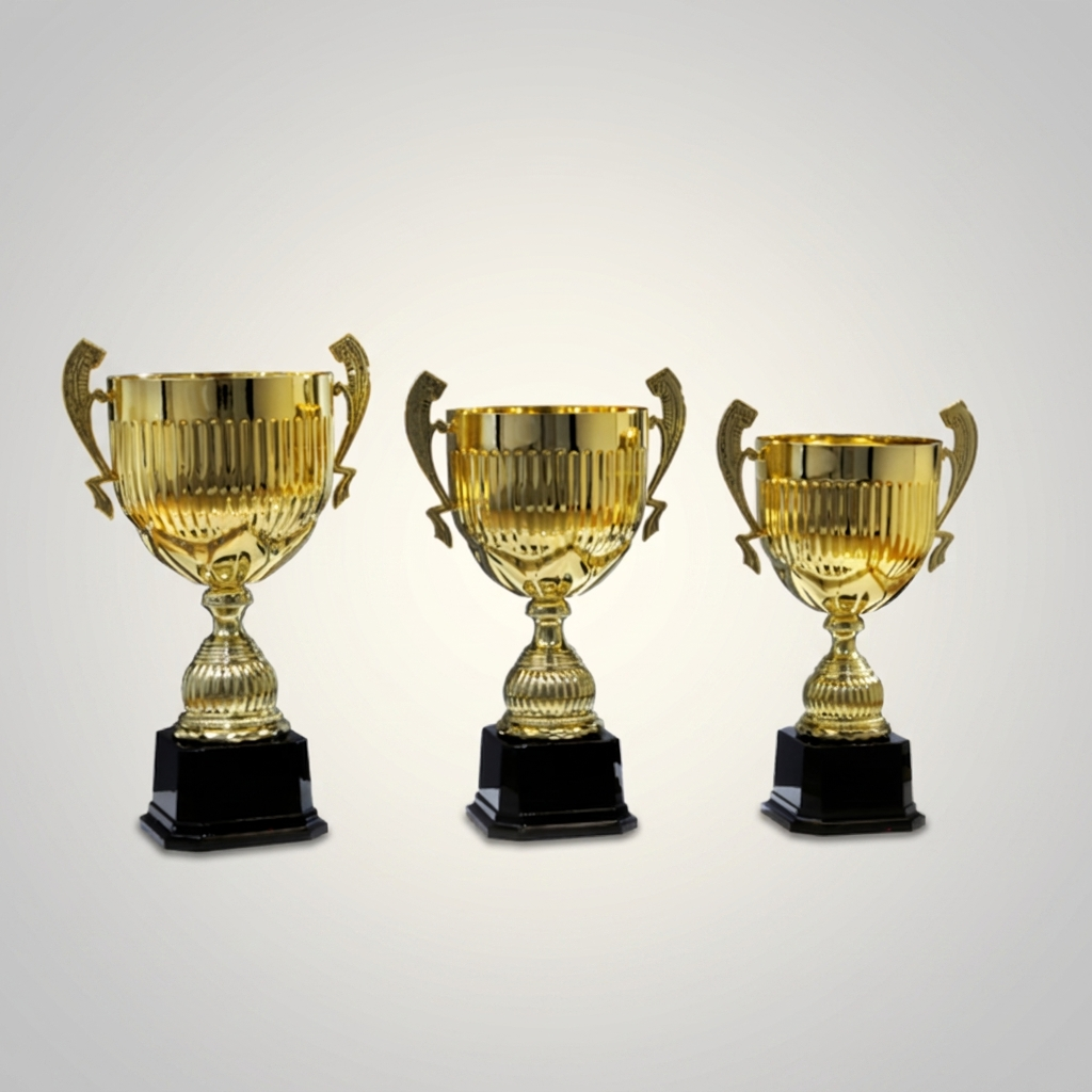 Pokal Dobrina